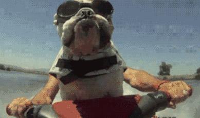 水吧一年利润多少,水吧最赚钱的项目