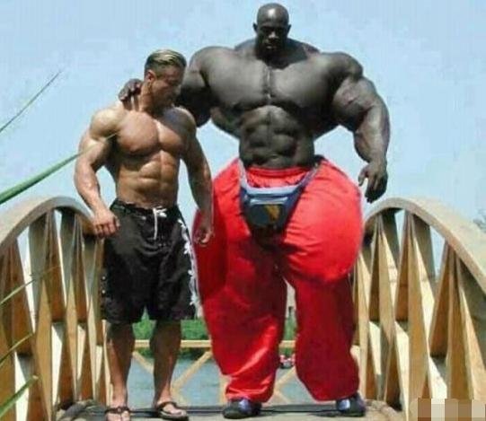 搞笑gif你敢欺负他看我怎么收拾你,搞笑gif再不听话就把你咔嚓了