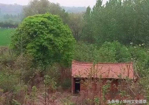 陕西省渭南市华县杏林镇建华小学,华州杏林校区