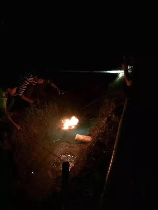 照泥鳅用什么工具,照泥鳅用什么颜色灯光好