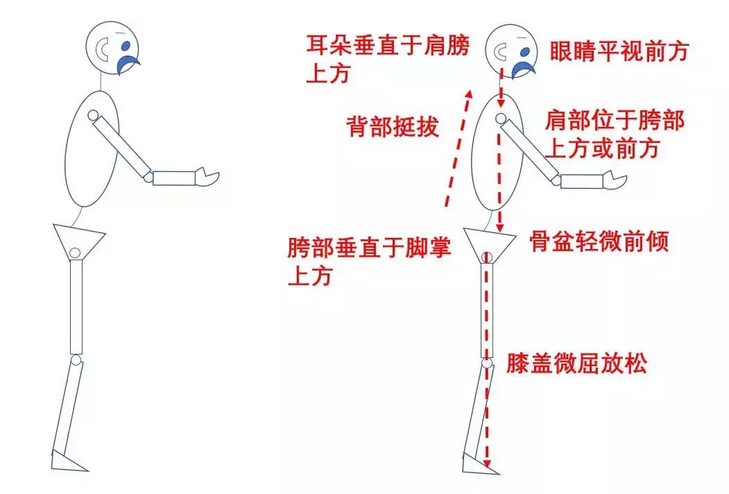 阿根廷探戈基本体态,世界顶级探戈阿根廷探戈