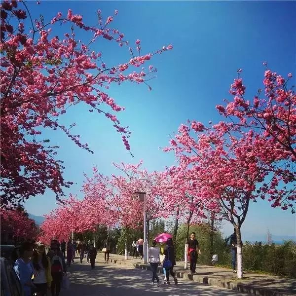 外地人不来丽江的10大理由！简直不能容忍……