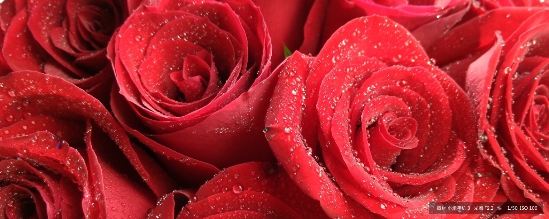 小米为发烧而生广告歌曲,小米为发烧而生广告视频