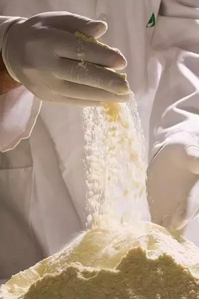 蓝河儿童成长奶粉配方,蓝河奶粉核心营养素