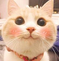 不知道买什么精华最好,哪一款精华好用