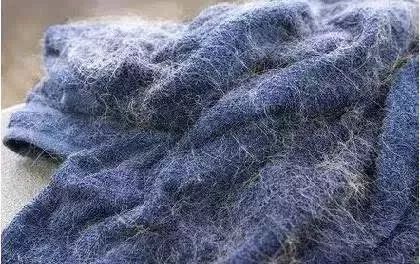 猫头秃了一块毛是怎么回事,为什么猫一直掉毛还不秃