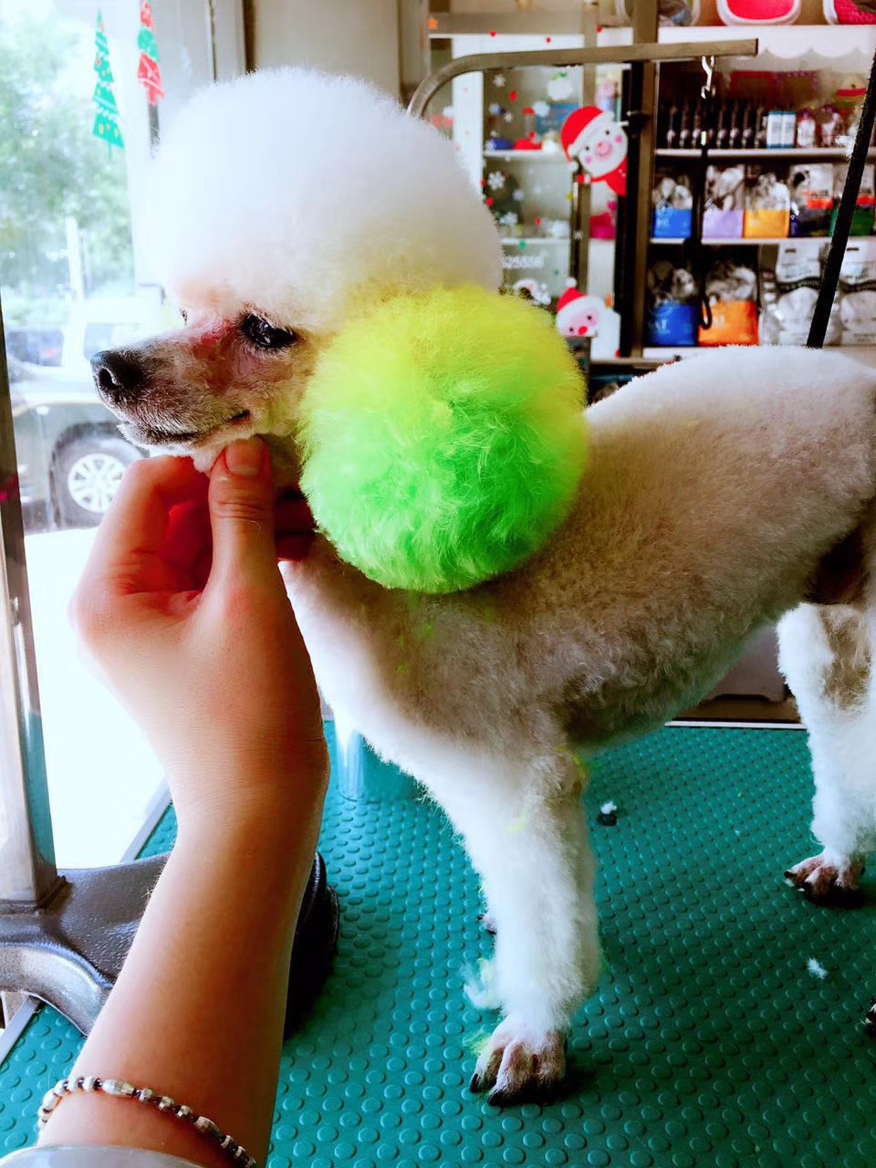 网上买狗狗被骗,网上买宠物狗靠谱吗