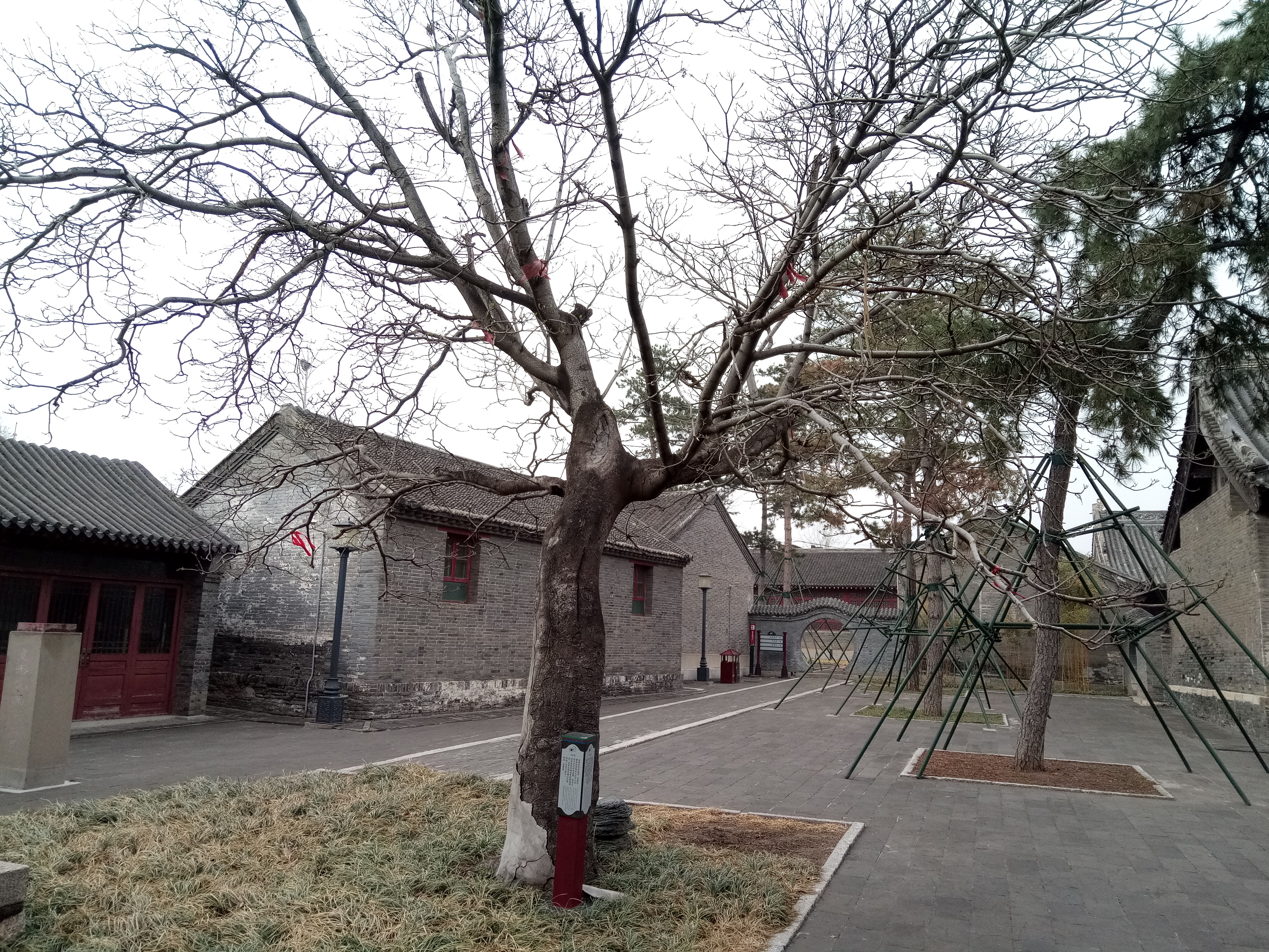 蓟县独乐寺附近好玩的,暑假天津蓟州必去十大免费景点