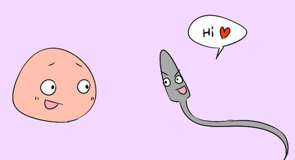 处女也会怀孕？是谣传还是另有隐情？