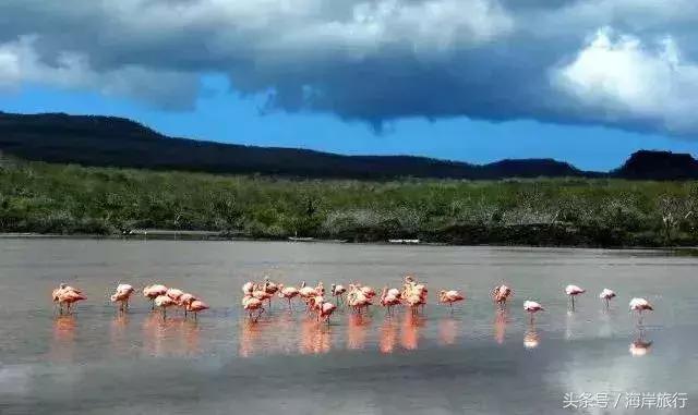 泰国9个最不能错过的美丽海岛,比普吉岛还美的度假天堂