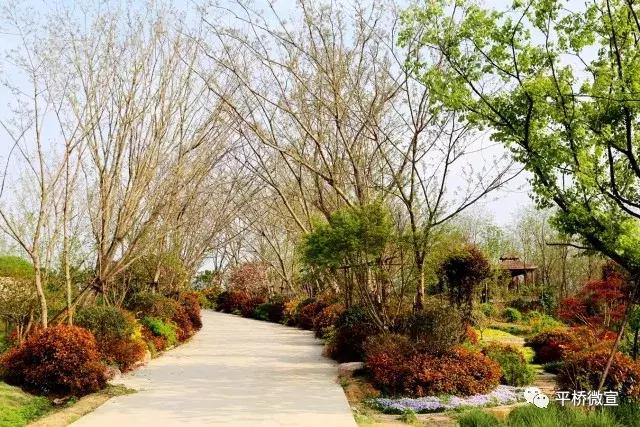 平桥美丽乡村,平桥区漂亮乡村