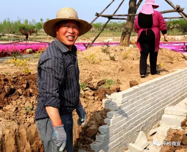平桥美丽乡村,平桥区漂亮乡村