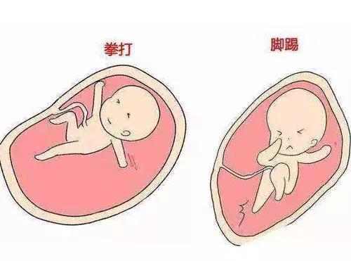 胎动可以反映宝宝健康状况,准妈妈应多关注