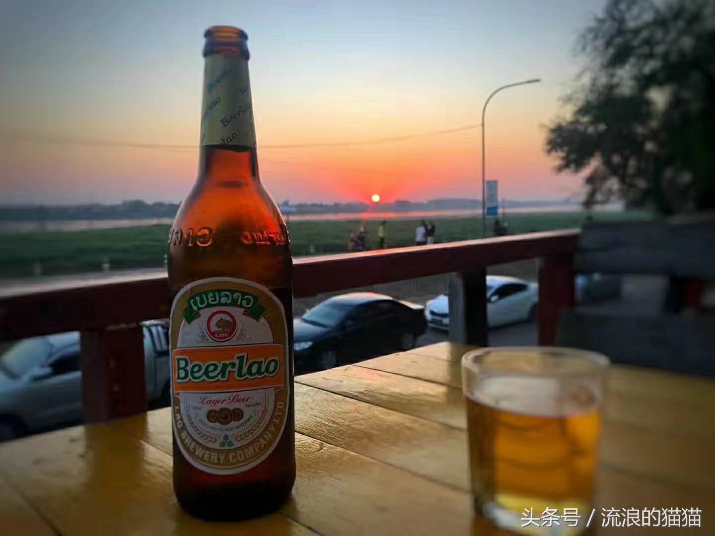 环游世界后会有什么感想,环游世界后的现实生活