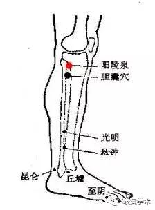 实用家庭急救方法,家庭常备穴位推拿
