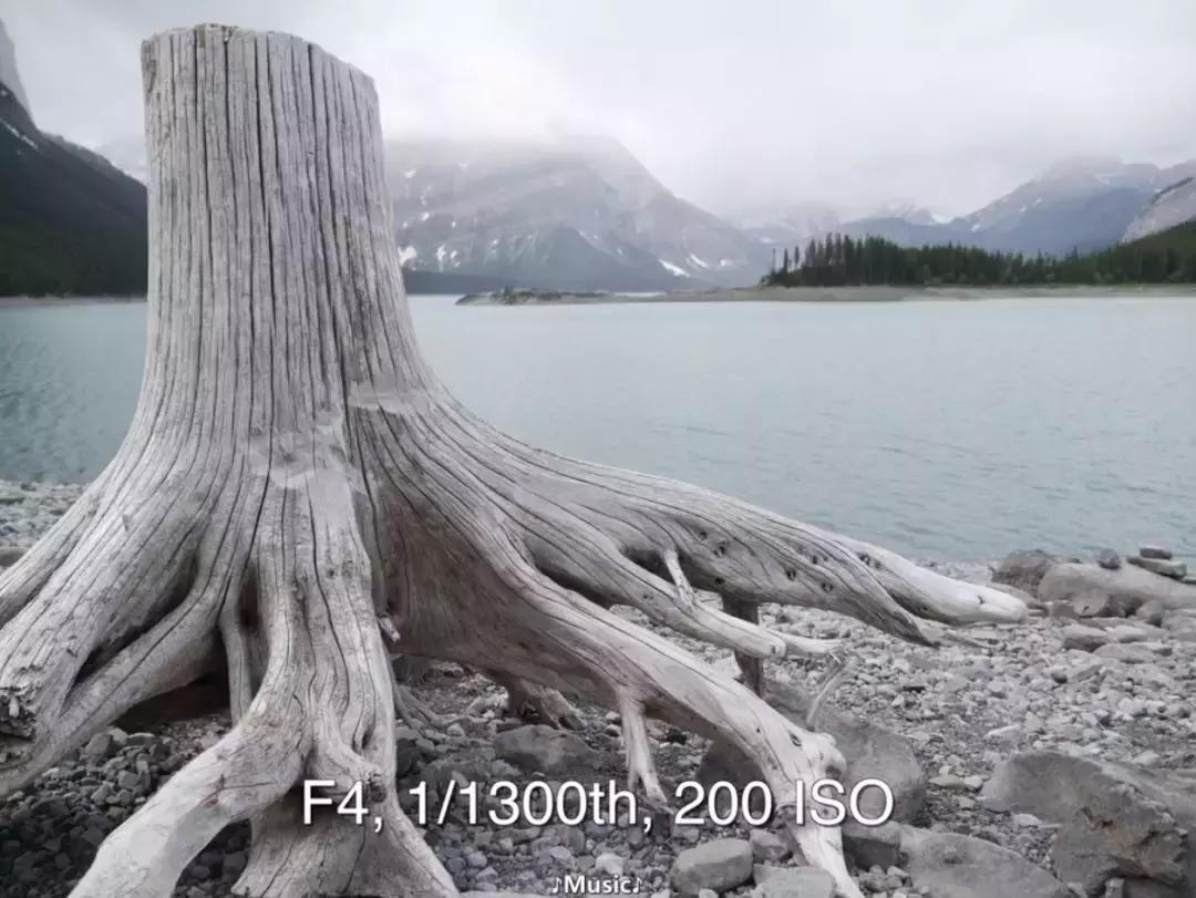 入门买多少钱的微单合适 (如何挑选一款性价比高的微单)