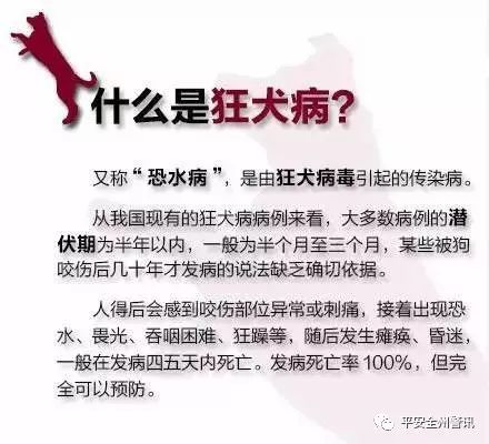 人被老鼠咬了有多大几率得狂犬病,被老鼠咬得狂犬病有案例吗