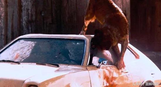 为什么别人称我为大师,为什么把大师称为先生