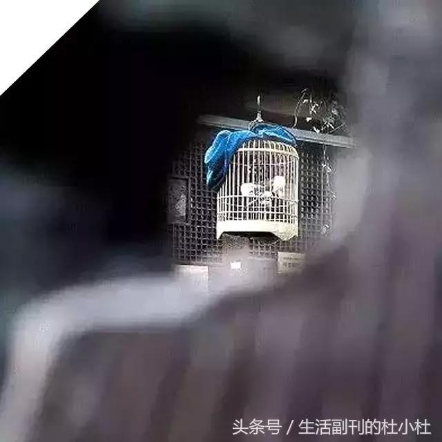 内涵段子｜你为啥不发朋友圈儿了？