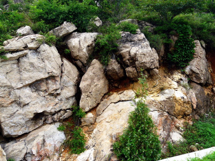 天津一日游必去的5个景点,天津2024年学生春游地点