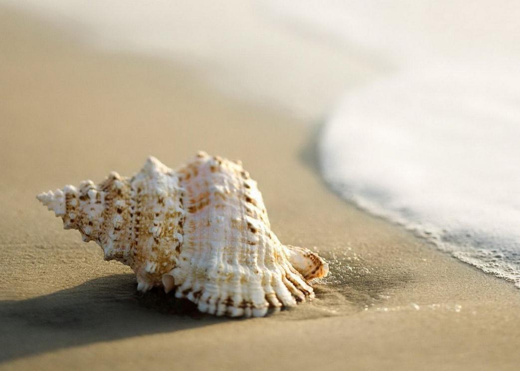 受到委屈励志美文,面对困难的美文