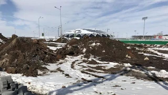 世界杯球场草皮怎么铺的,世界杯足球场草皮是真是假