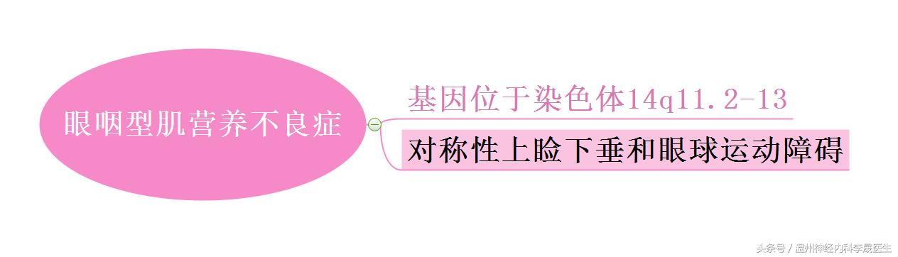 良性肌营养不良自愈的奇迹,进行性肌营养不良分型图表