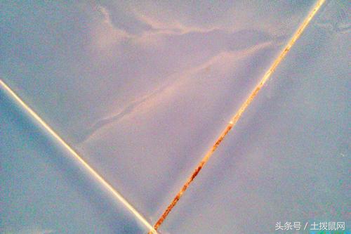 地砖缝隙变黑怎样处理,地砖缝隙发黑一招变白