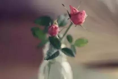 有一种深爱叫不再联系的歌曲,有一种深爱叫不联系却不打扰