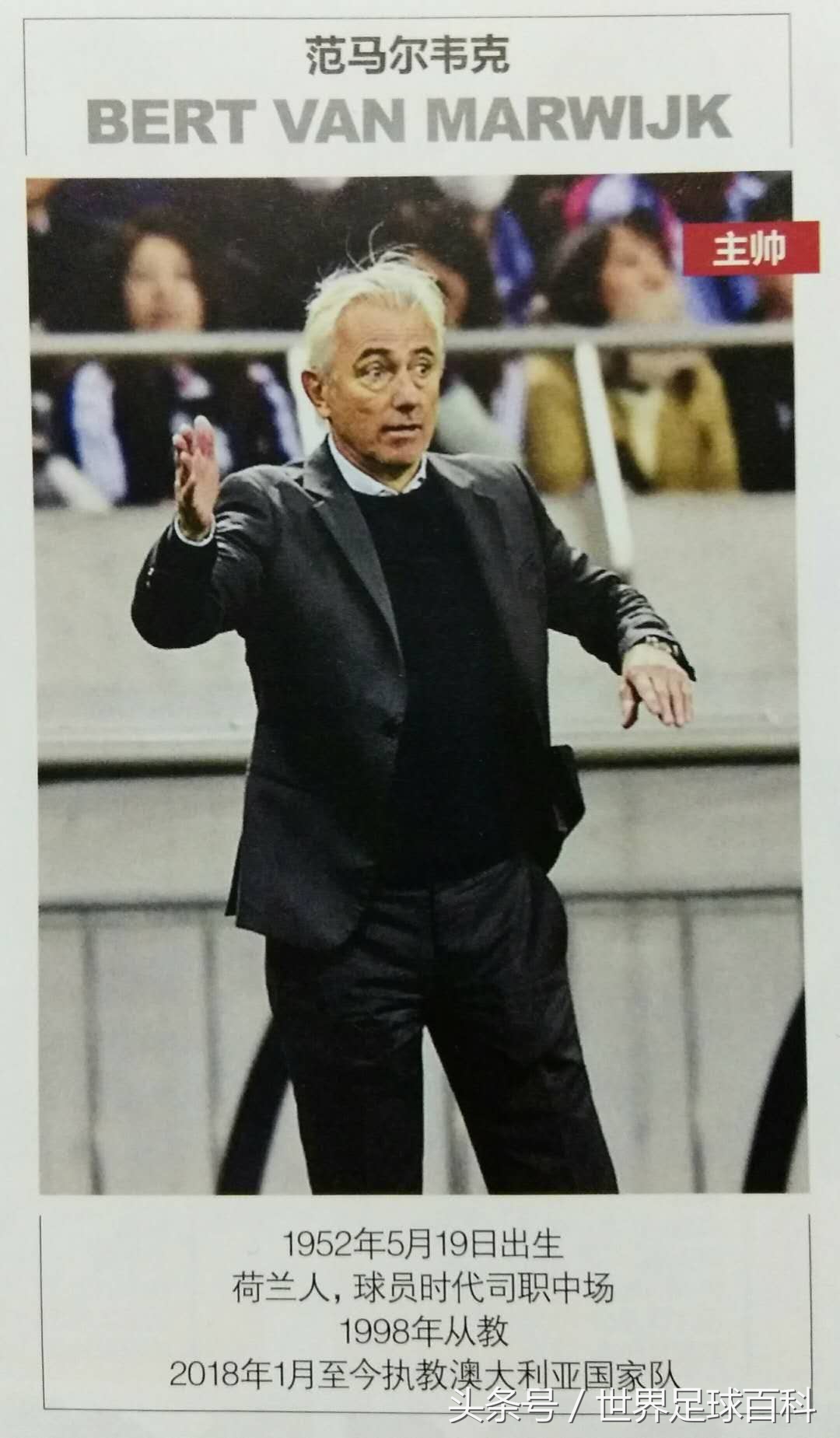 袋鼠军团晋级世界杯点球,袋鼠军团进军世界杯