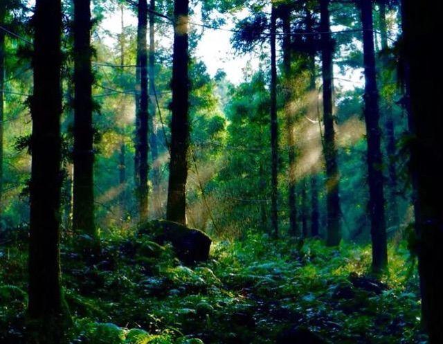 想玩遍温州名山，先看这里