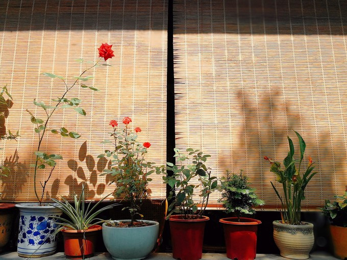 涔濇邯鐙竴鏃犱簩,涔濇邯娓哥帺鎰熸偀