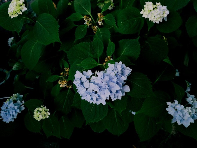 九溪虽小你却没用心体验过,别有一方风味