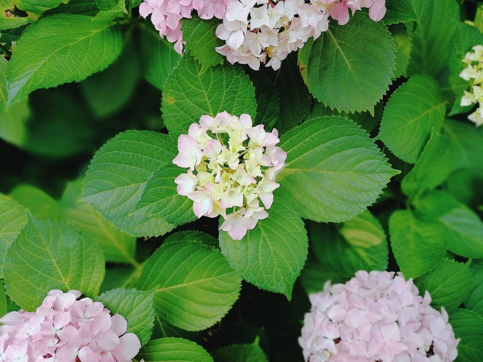 涔濇邯鐙竴鏃犱簩,涔濇邯娓哥帺鎰熸偀