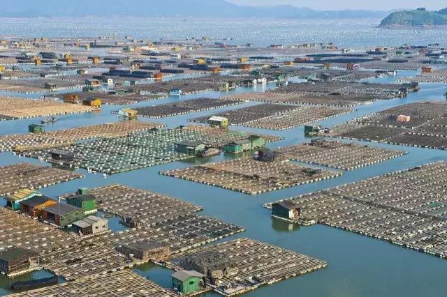 江门爱琴海旅游景点,江门爱琴海海洋公园