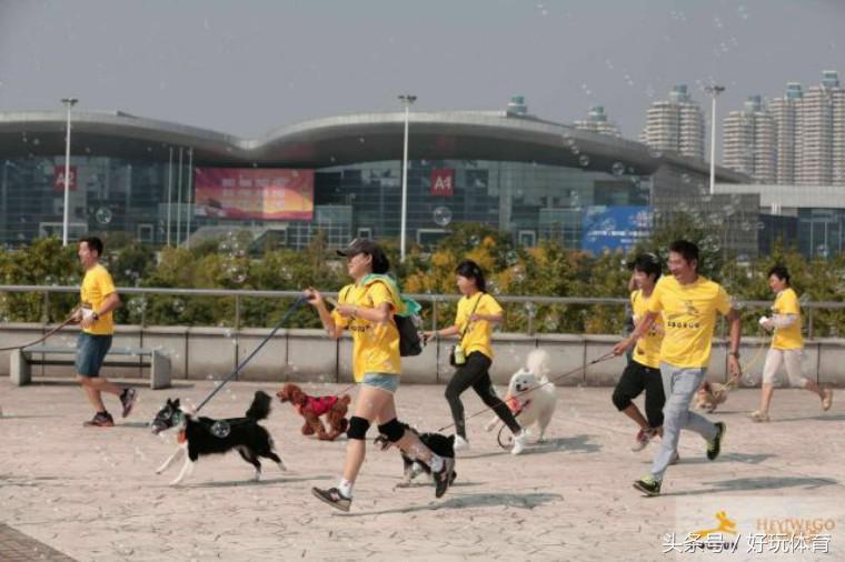 武汉海昌极地杯2018DOGRUN乐跑武汉站来啦！汉马月，一起跑起来！