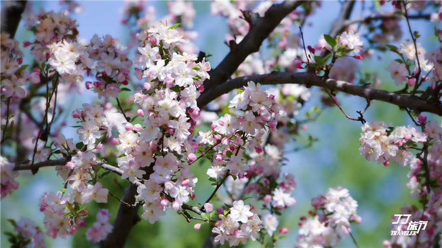 皇城相府和相府庄园是一回事吗,皇城相府到相府庄园多远