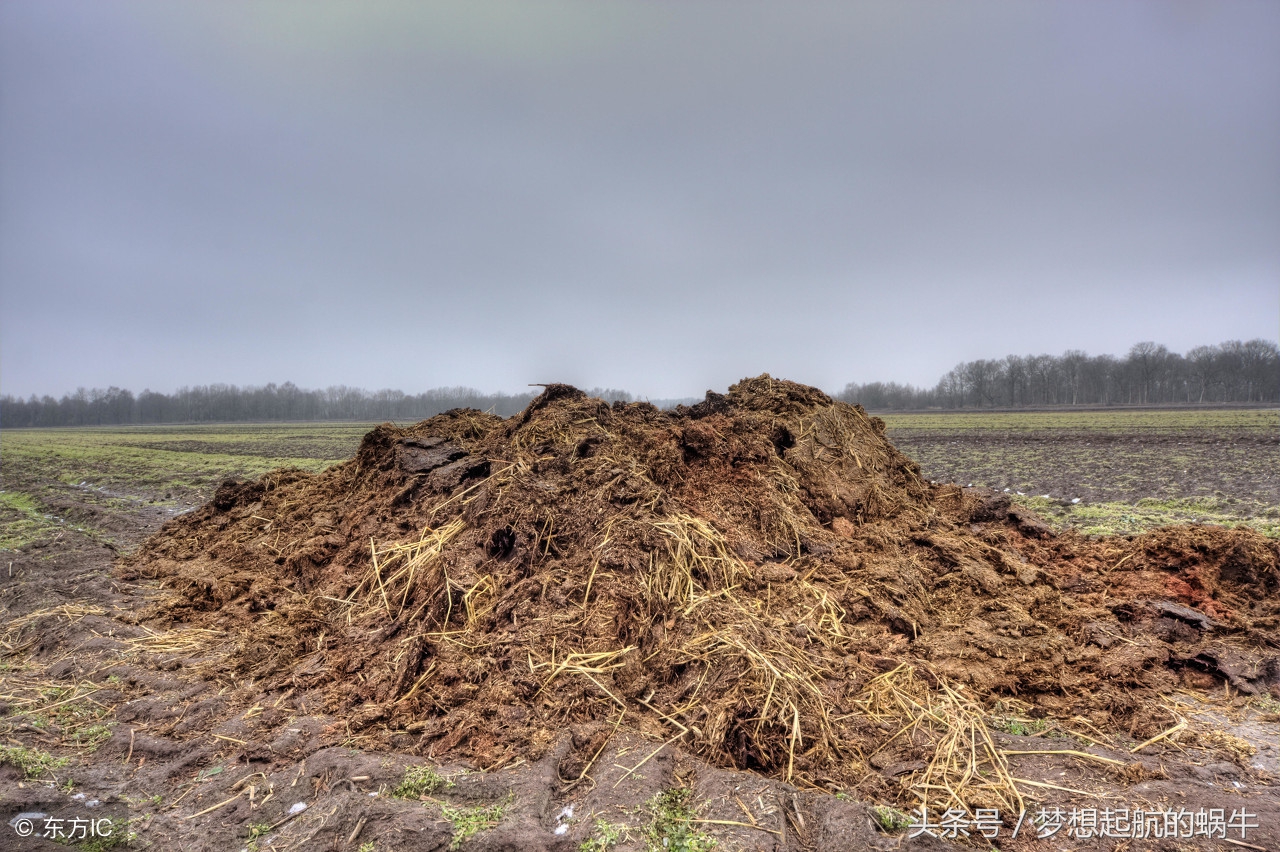 在广州有哪些适合小本创业的商机,创业项目推荐适合农村小本生意