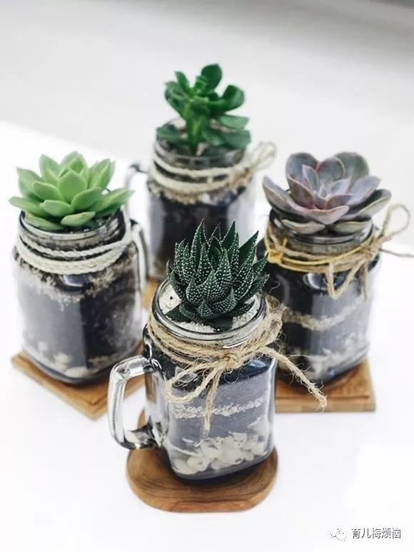西妈爱玩｜废弃玻璃罐巧变身