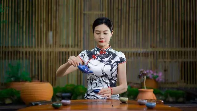 飞两千多公里,得到一座奇幻山林,一个温暖的家,一群有趣的人