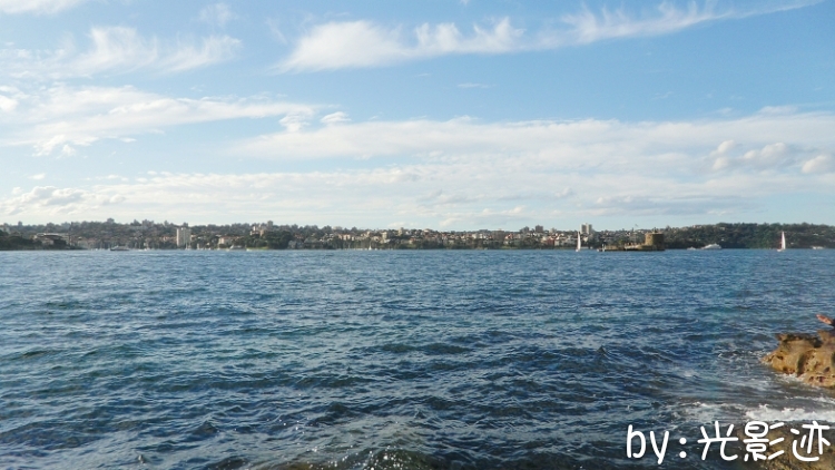 澳洲旅游必去动物园,澳洲动物园游记