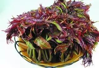 石家庄国家商标注册官网,石家庄商标类别推荐哪家