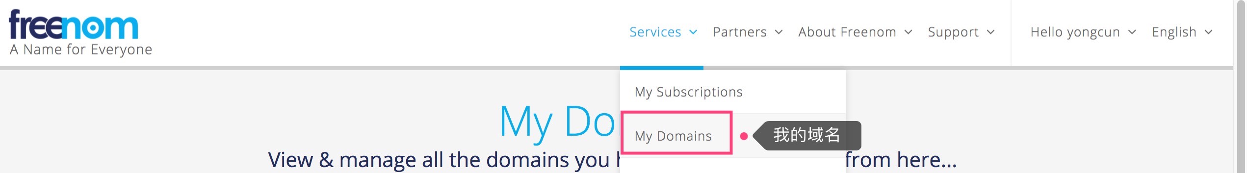 免费顶级域名注册的方法是什么,全球新通用顶级域名开放申请