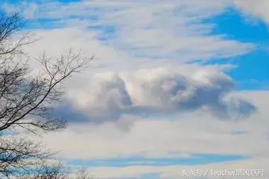 出自古代诗词的成语,成语诗句基础知识
