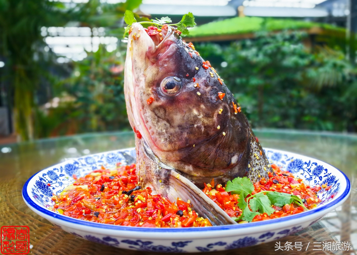 株洲生态休闲农庄生态餐饮,株洲野生鱼饭店