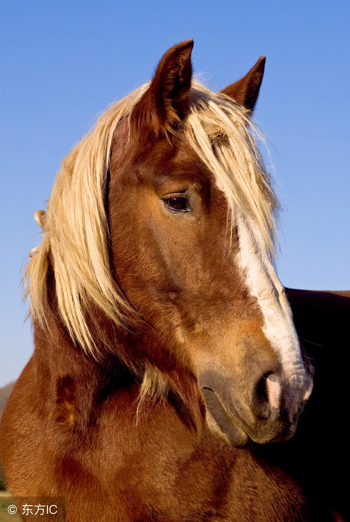 道德经比孔子的仁义礼智信早多久,老子的道德仁义礼怎么去理解
