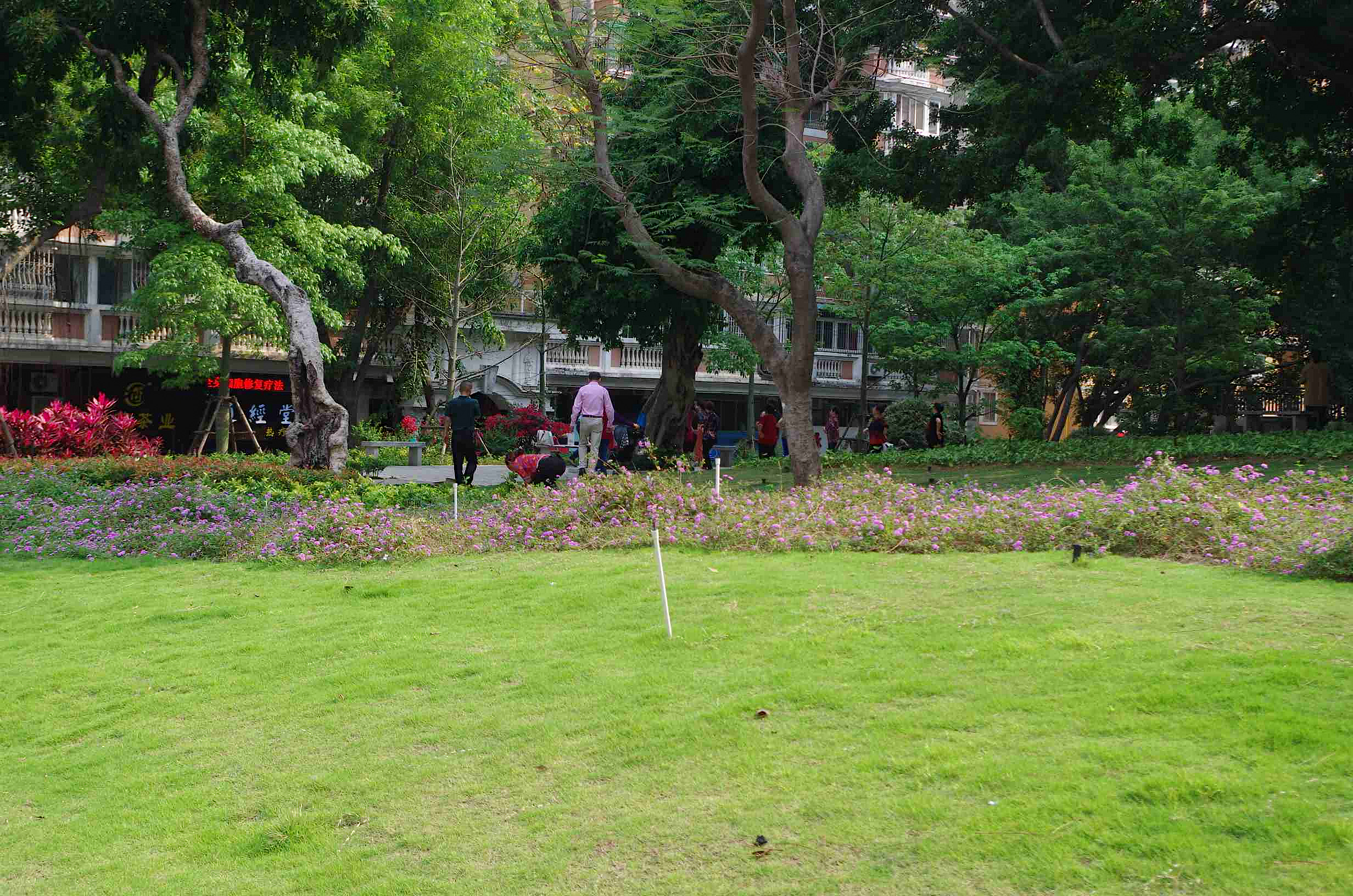 宾得k30图片,宾得k30样片