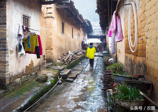 去乡下调研会遇到哪些问题,去农村旅游的注意事项