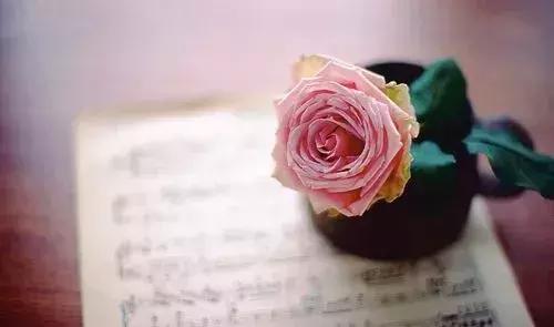 沈阳中学生情侣开房告诉我们，父母的教育才是对孩子最好的保护！