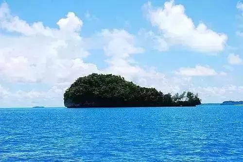 帕劳旅游攻略潜水点,帕劳自由行最值得去的潜水天堂